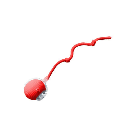 ✨ Brinquedo Interativo Recarregável – Diversão Inteligente para seu Pet 🐾