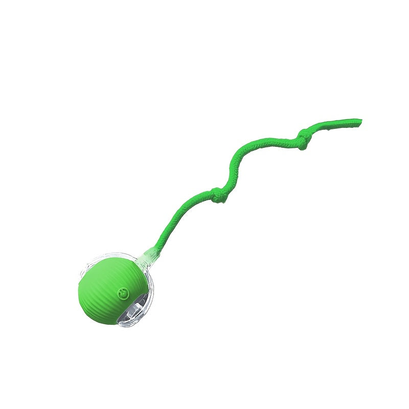 ✨ Brinquedo Interativo Recarregável – Diversão Inteligente para seu Pet 🐾