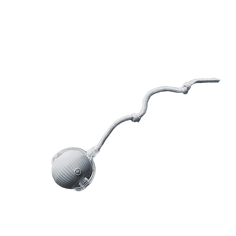 ✨ Brinquedo Interativo Recarregável – Diversão Inteligente para seu Pet 🐾