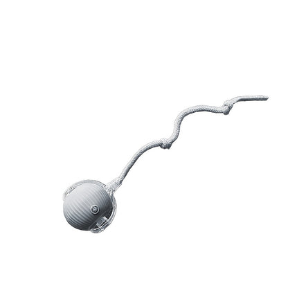 ✨ Brinquedo Interativo Recarregável – Diversão Inteligente para seu Pet 🐾