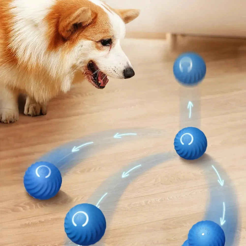Bola interativa para cãe e gato