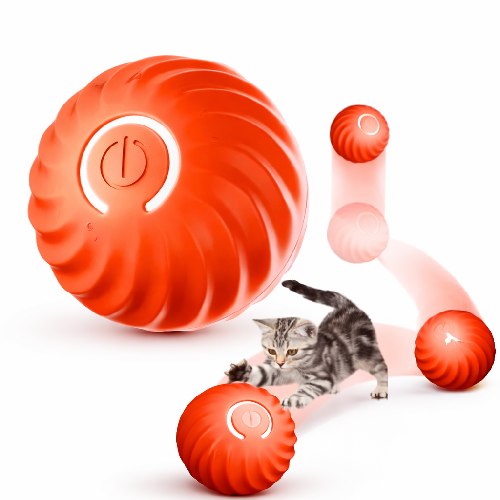Bola interativa para cãe e gato