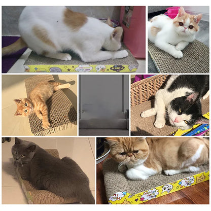 🐾 Arranhador de Papelão com Catnip iPETSfi