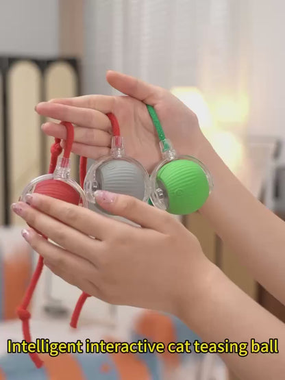 ✨ Brinquedo Interativo Recarregável – Diversão Inteligente para seu Pet 🐾