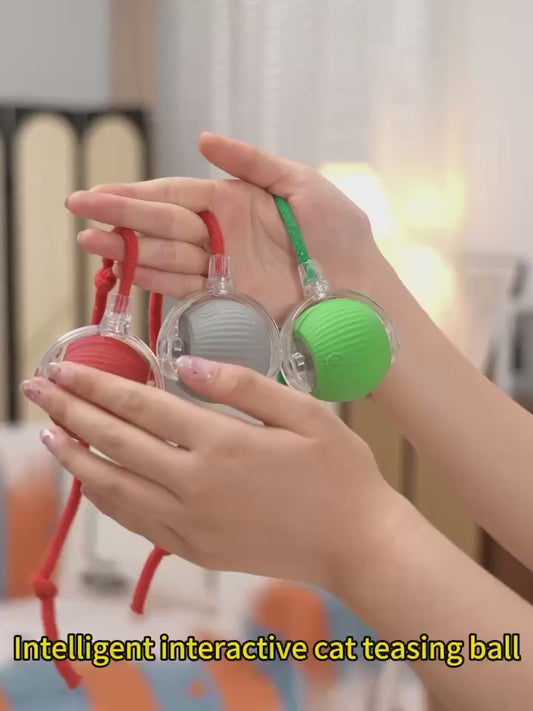 ✨ Brinquedo Interativo Recarregável – Diversão Inteligente para seu Pet 🐾