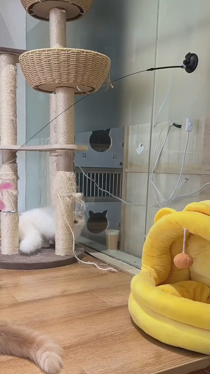 Brinquedo Interativo de Penas com Ventosa para Gatos